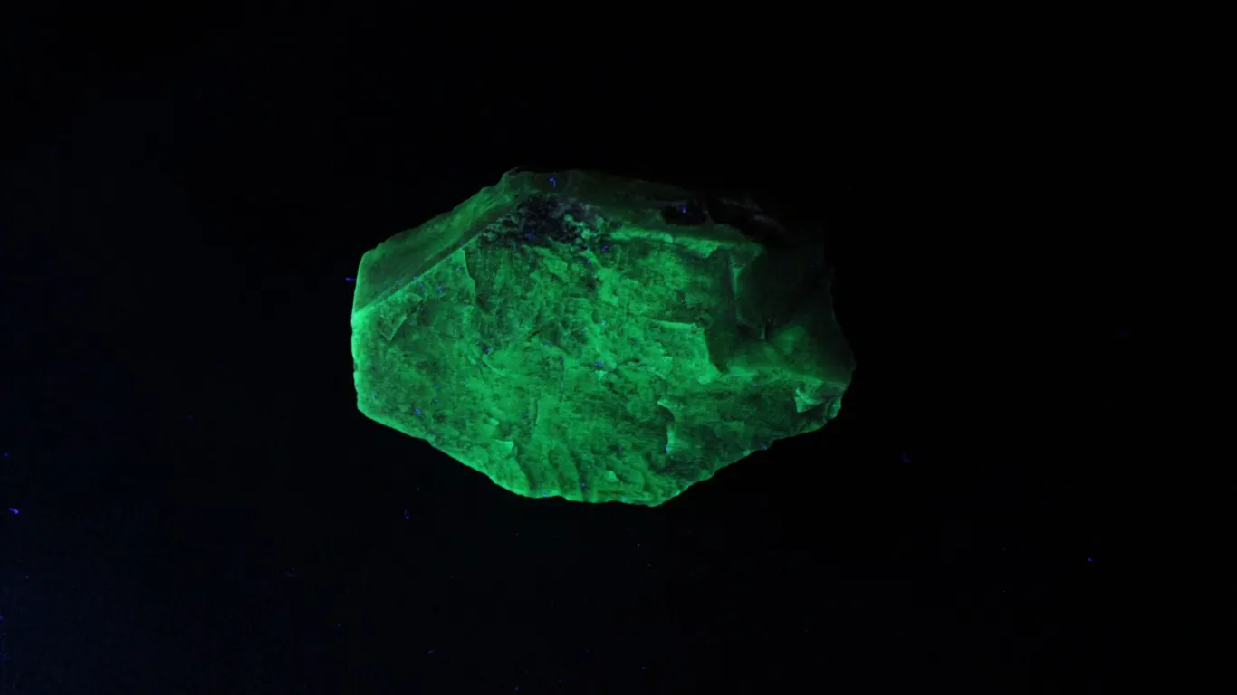 Fluorescent Petrified Wood 3oz