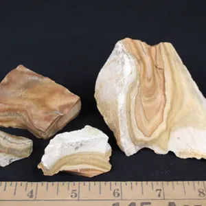 Picture Jasper, 12 oz