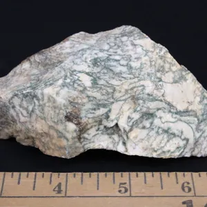 Tree Agate, 11 oz