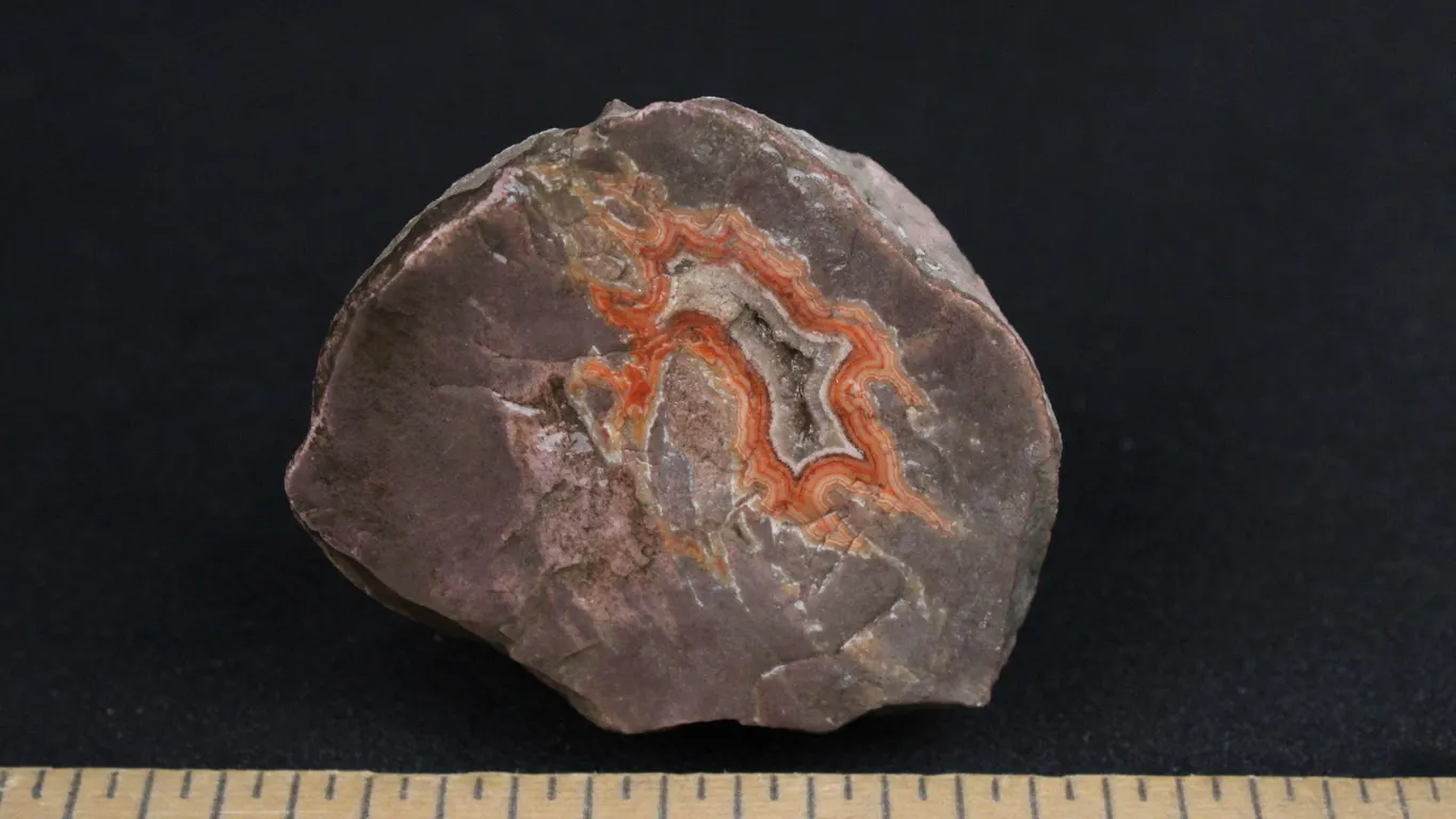 Dryhead Agate, 6 oz