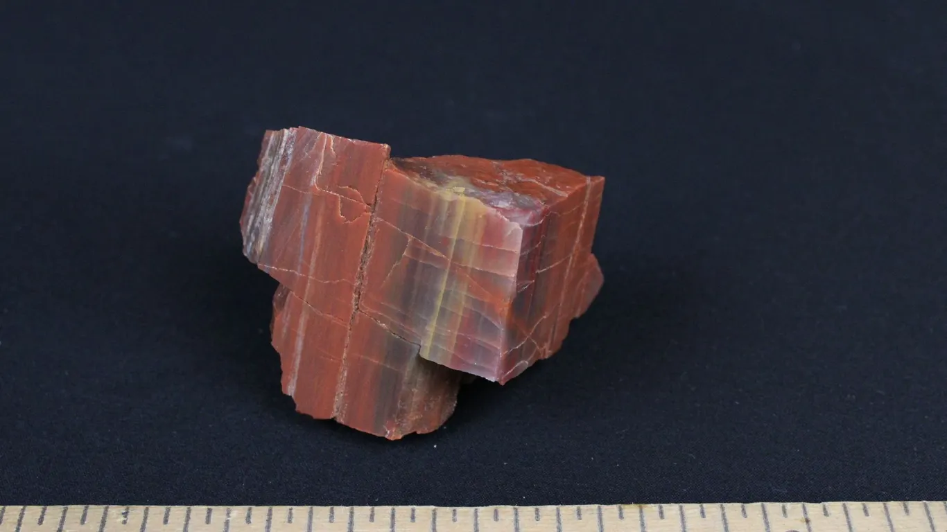 Rainbow Petrified Wood, 5 oz