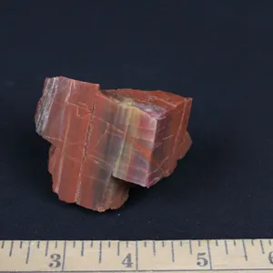 Rainbow Petrified Wood, 5 oz