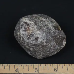 Uncut Brazilian Agate, 10 oz