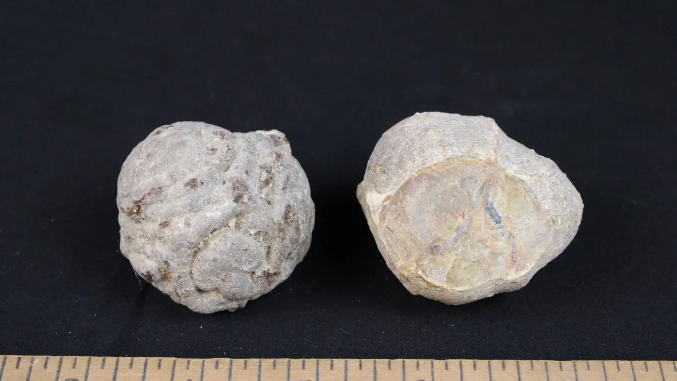 Uncut Agate Nodules, 12 oz