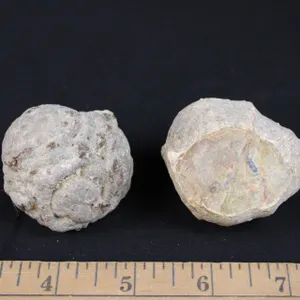 Uncut Agate Nodules, 12 oz