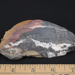 Zebra Jasper, 8 oz
