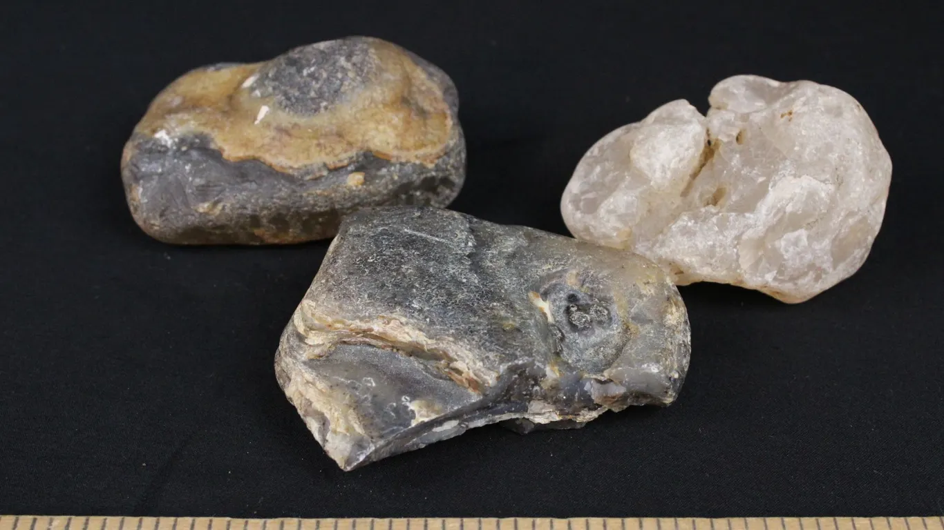 Montana Agates, 1 lb 2 oz