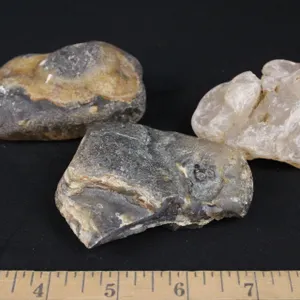Montana Agates, 1 lb 2 oz