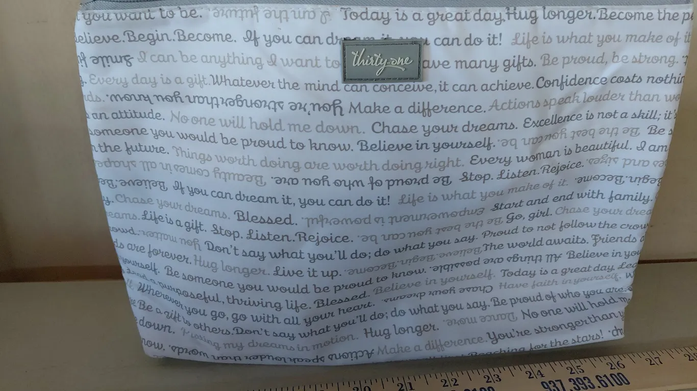 Thirty-One Insulated Bag 12"X3"X8.5", Lightly Used/Minor Stain
