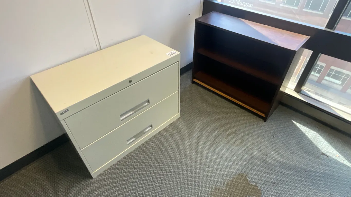 2 TIER FILE CABINET & BOOKSHELF