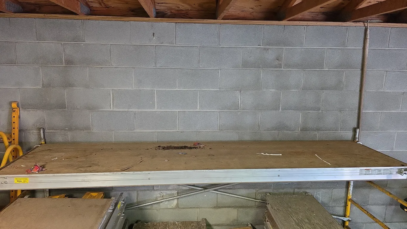 10ft Biljax Walking Plank