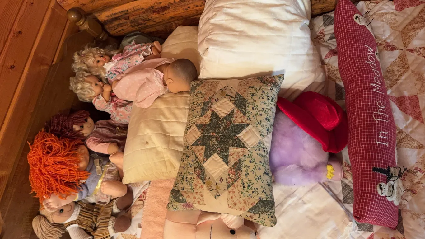 Pillows, Dolls and Teddys