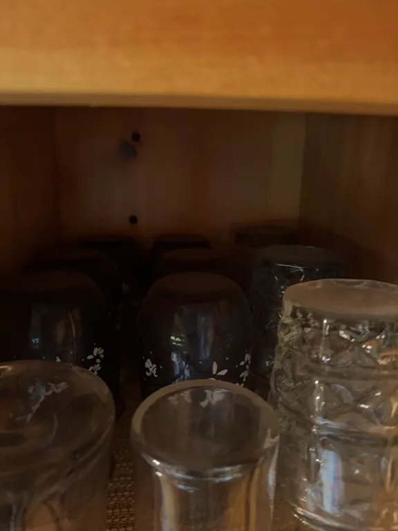 Glass Cups