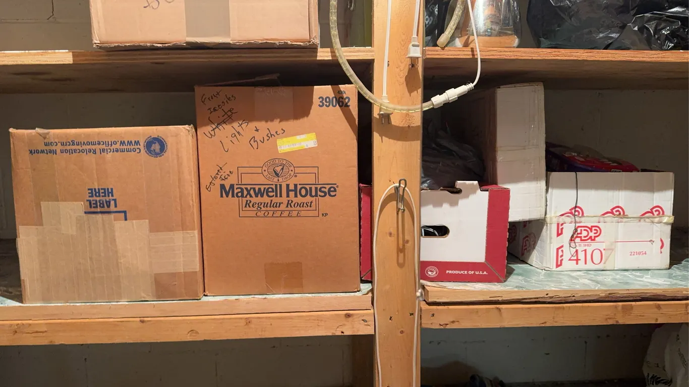 Boxes of Christmas Lights