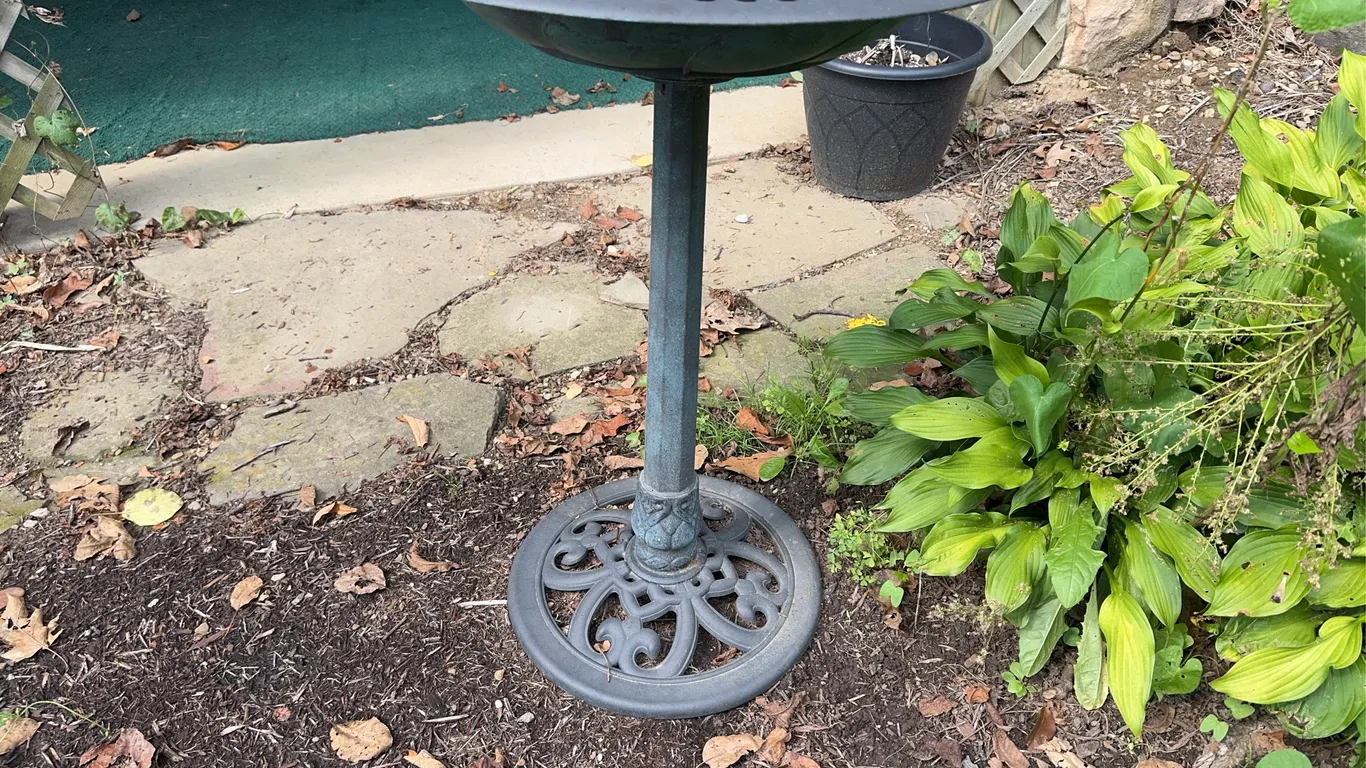 Bird Bath