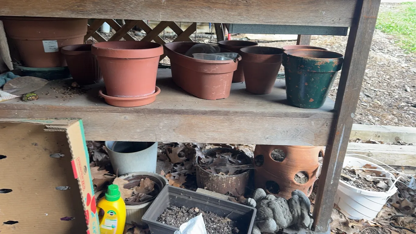Flower Pots