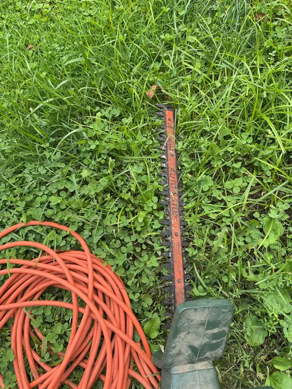 Black and Decker Bush Trimmer