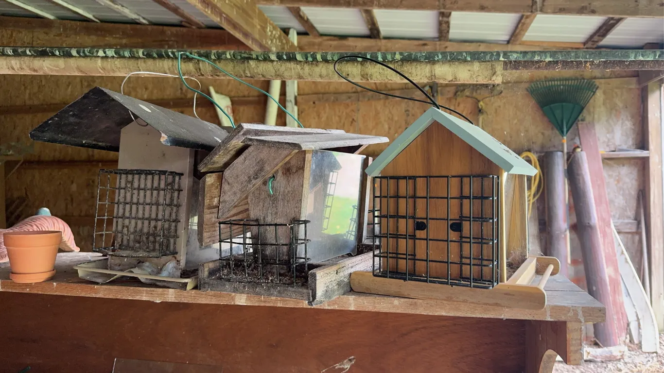 (3) Bird Feeders and Bird House
