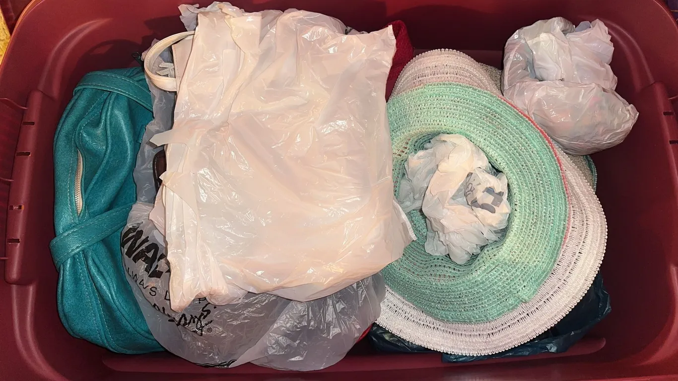 Misc. Hats and Purses