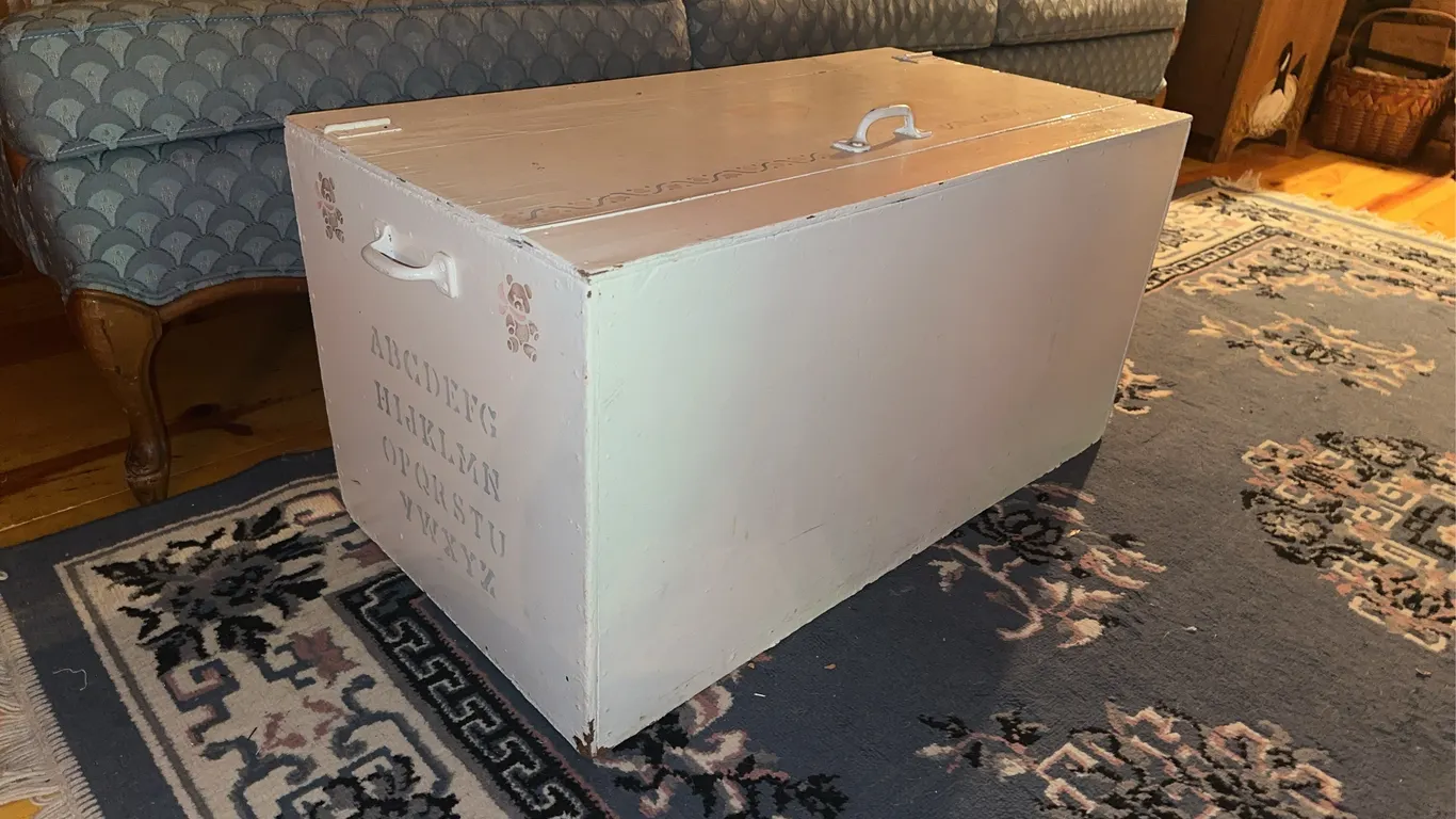 White Toy Box/Chest