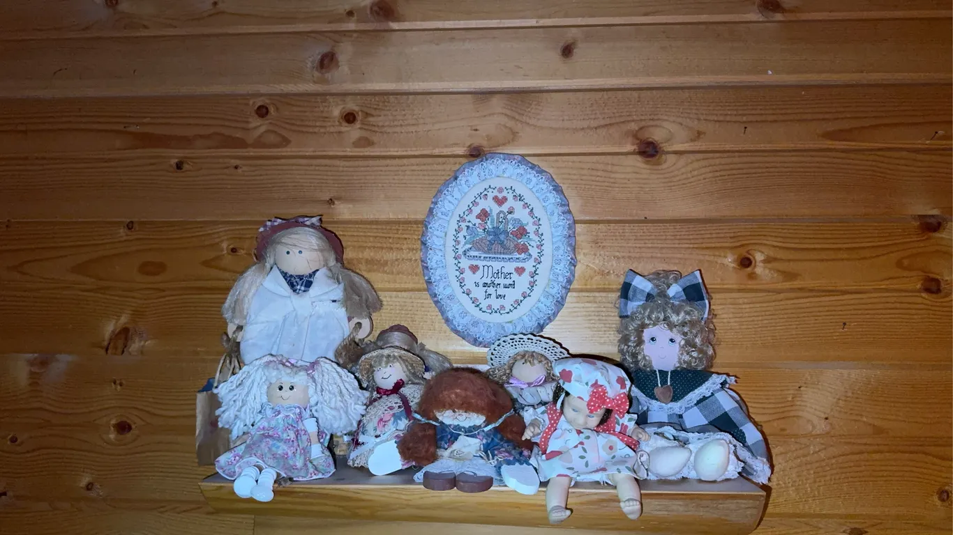 Dolls and other misc.