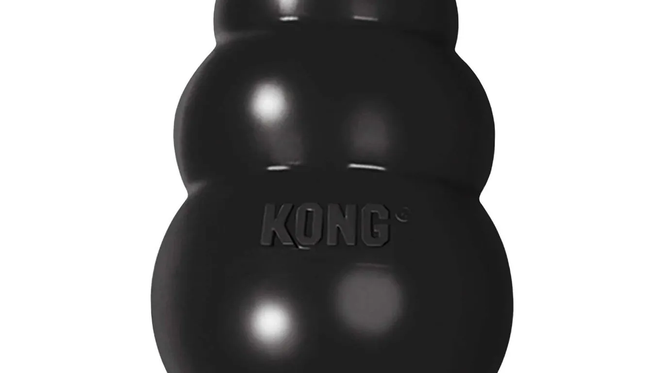 KONG Extreme Dog Toy - Fetch & Chew Toy -...