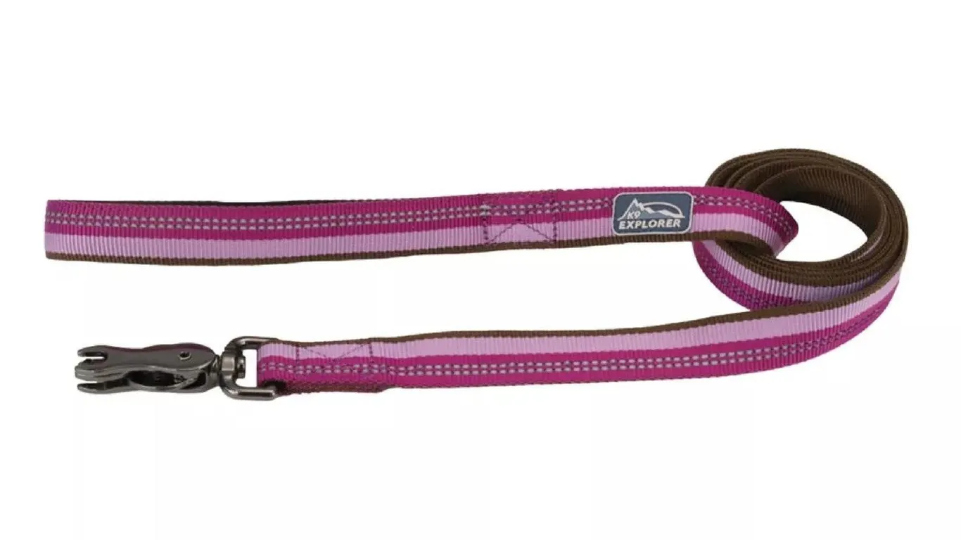 Coastal Pet K9 Explorer Reflective Dog Leash...
