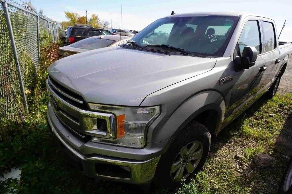 2020 Ford F-150 SN: 1FTFW1E44LKD99059