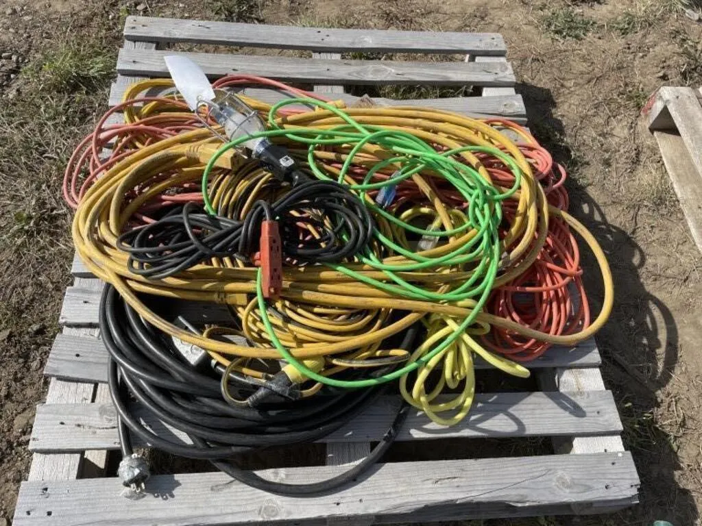 Various Extension Cords, Trouble Light