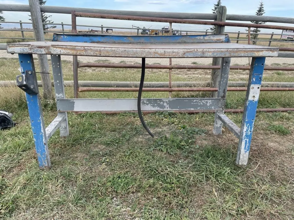 Metal Bench W/ Drain Hole & Hose