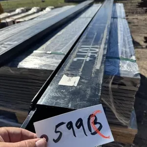 10' fork extensions.