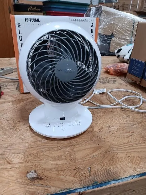 Woozoo Oscillating Fan With Remote, Turned On At