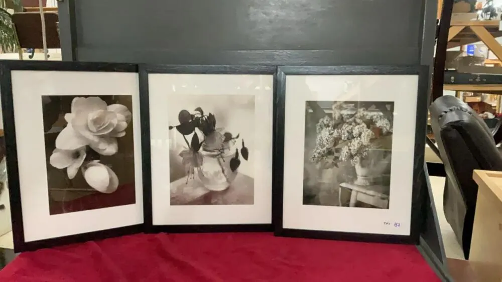 (3) BLACK & WHITE FLORAL PICTURES