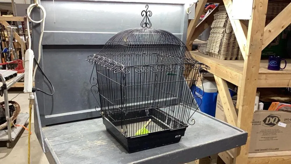LARGE BIRD CAGE - MORE ORNATE
