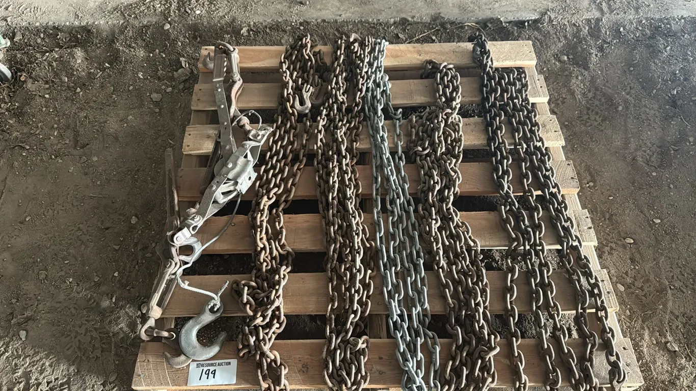 Assorted log chains