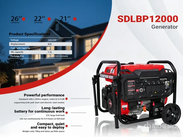 2026 SDLBP12000 Gasoline Portable Generator Set (Unused)