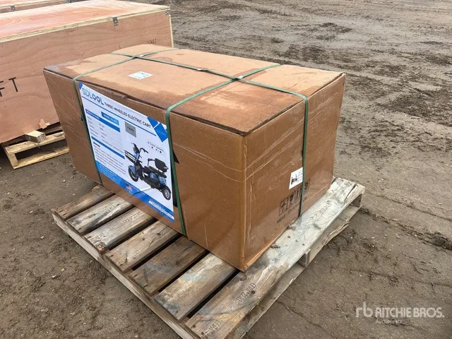 2026 SDLOOL SL-D3 Electric Trike (Unused)