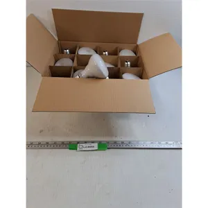 Box of (12) 65W 120V Flood Lights, Pickup Preferred