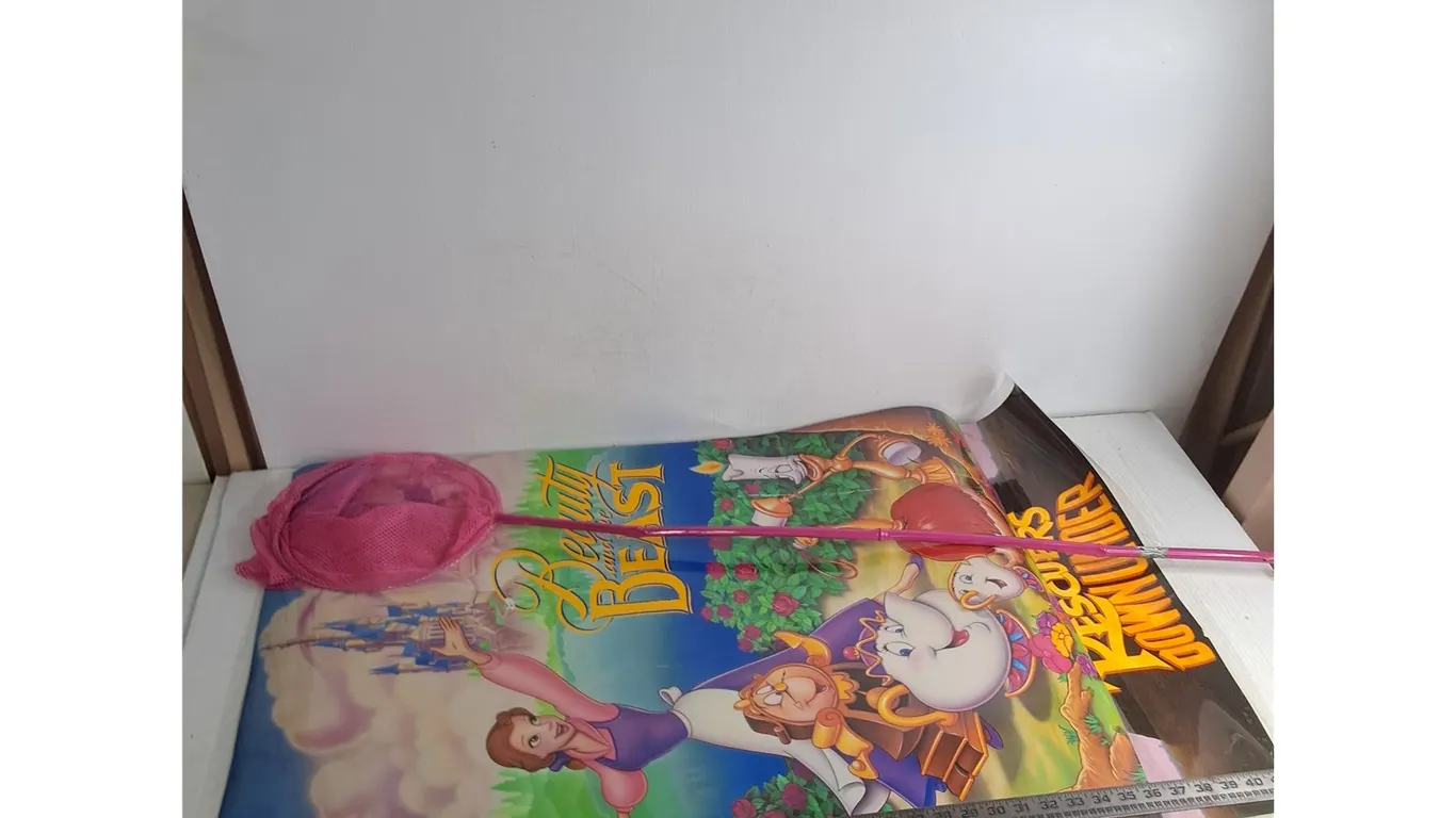 (2) Laminated 35" x 24" Disney Movie Posters, 46" Butterfly Net - Cannot Ship