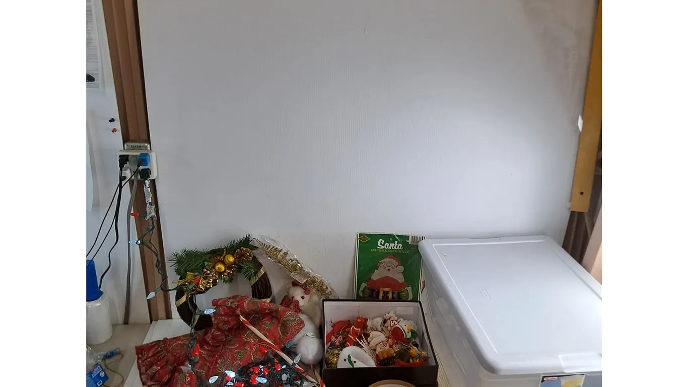 Assorted Christmas Decor, Working String Lights, Storage Tote - Cannot Ship