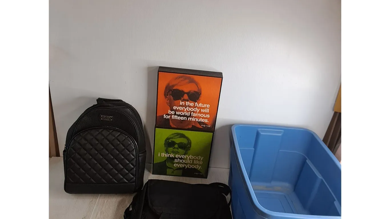 (2) Framed 11" x 11" Andy Warhol Expressions, Fashion Backpack, Pet Gear Tote, Storage Bin - PU Only