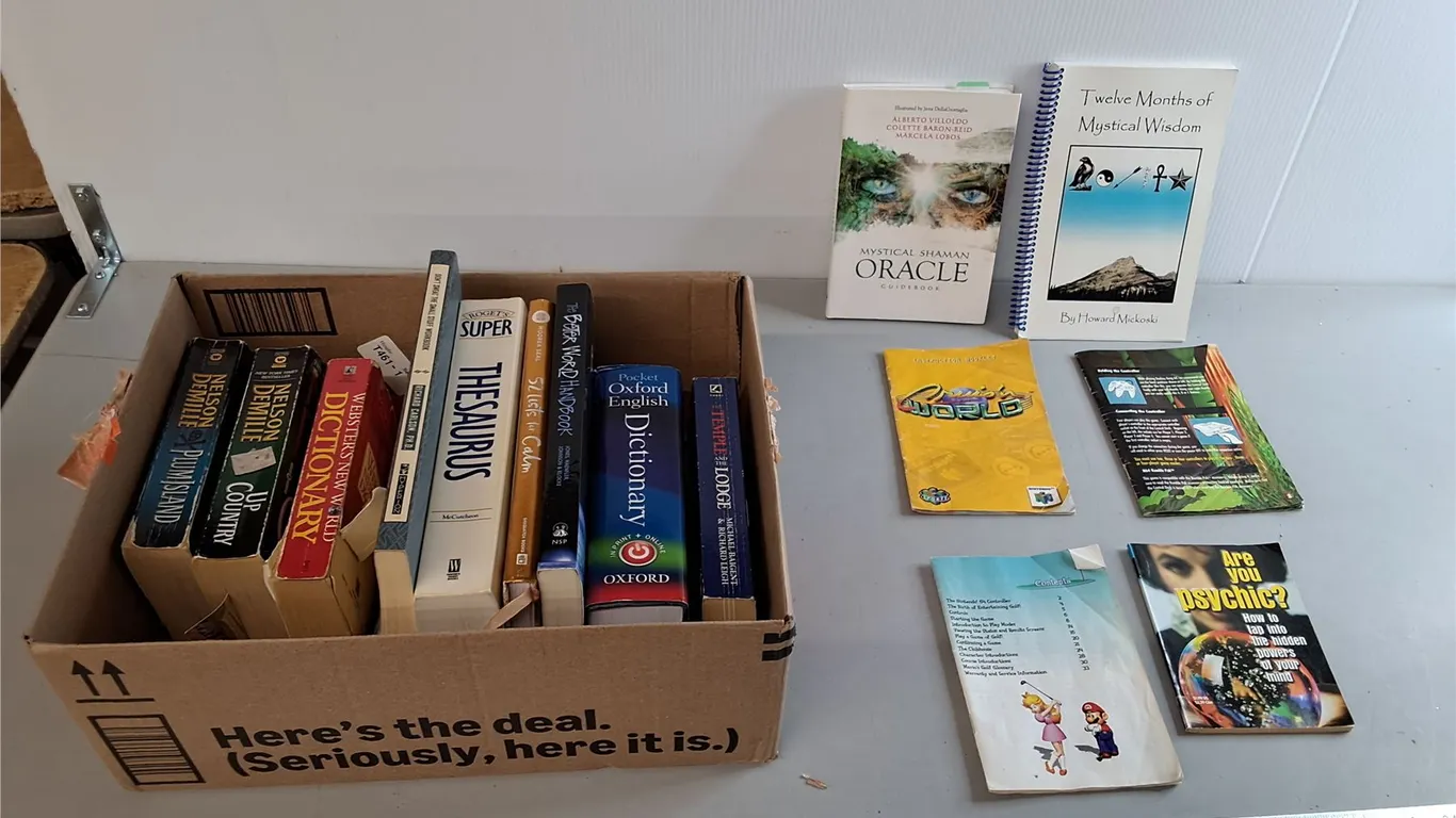 Book Lot- Dictionaries, Better World Handbook, Oracle Guidebook, Misc.