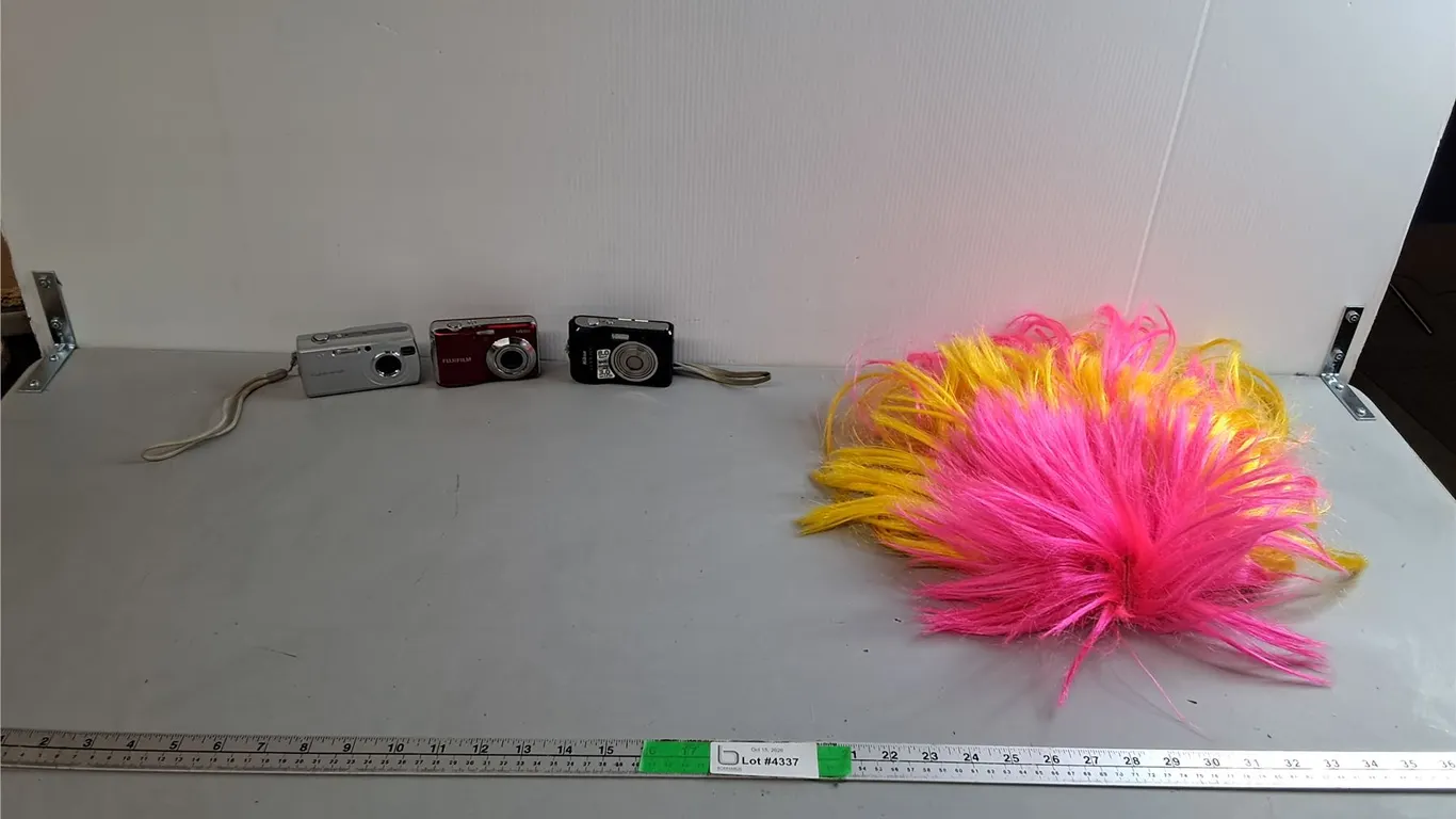 Pink & Yellow Wig and (3) Digital Cameras- Sony Powers On