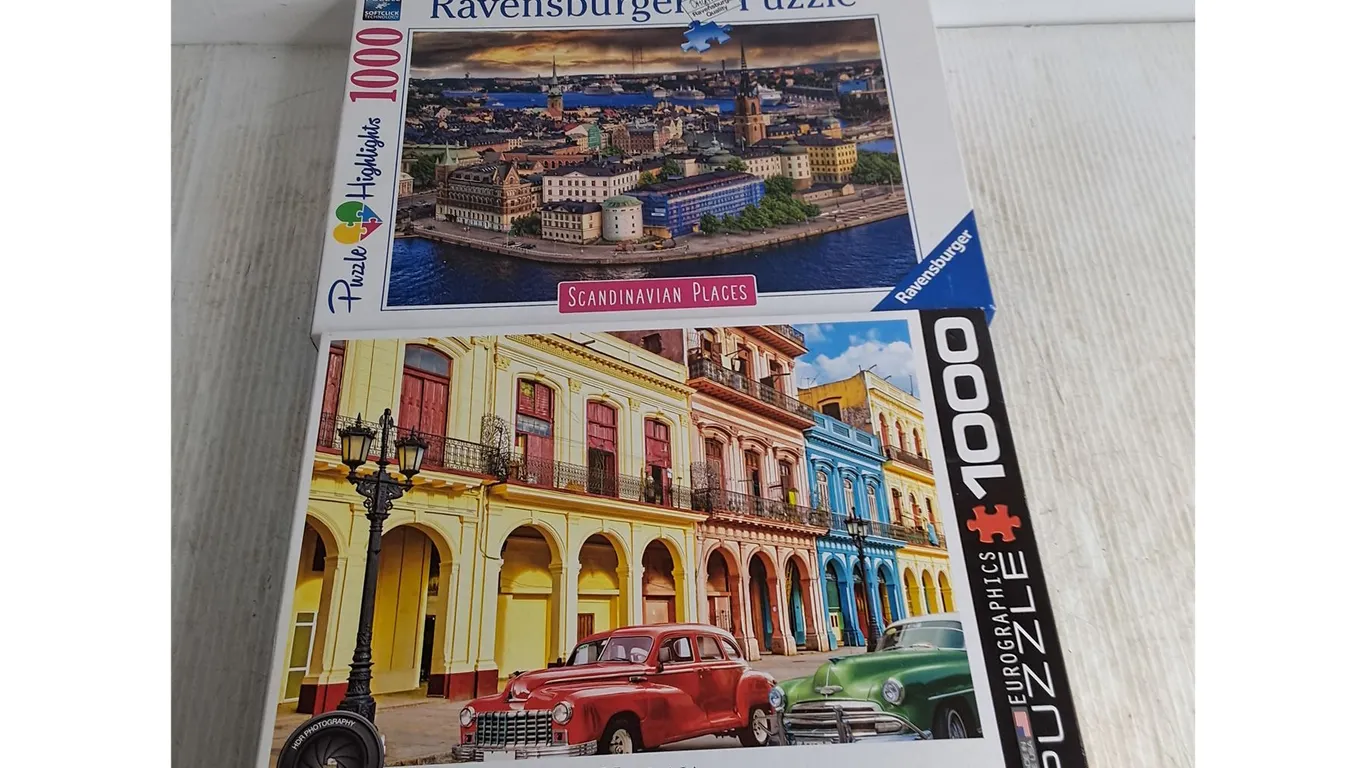 (2) Jigsaw Puzzles