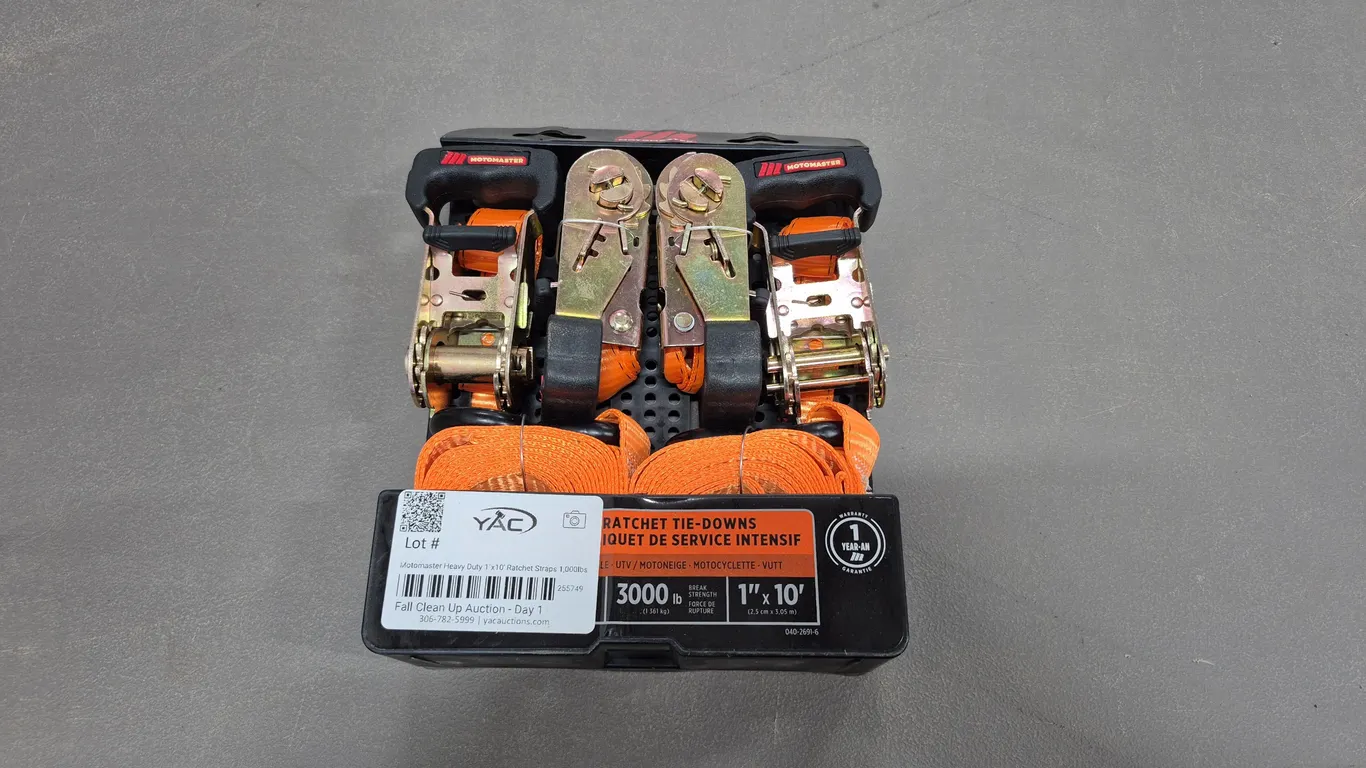 Motomaster Heavy Duty 1"x10' Ratchet Straps 1,000lbs