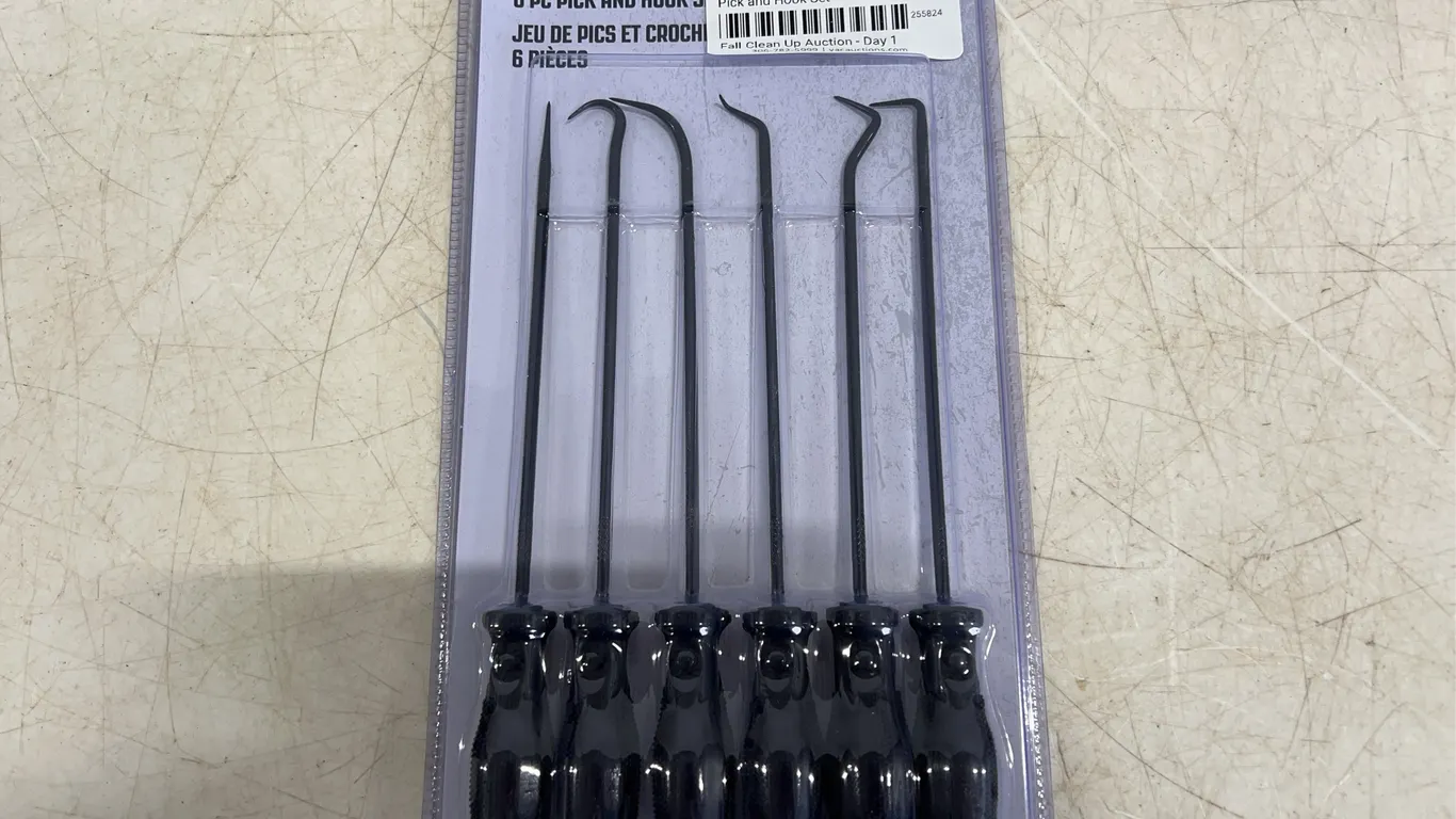 Pick and Hook Set