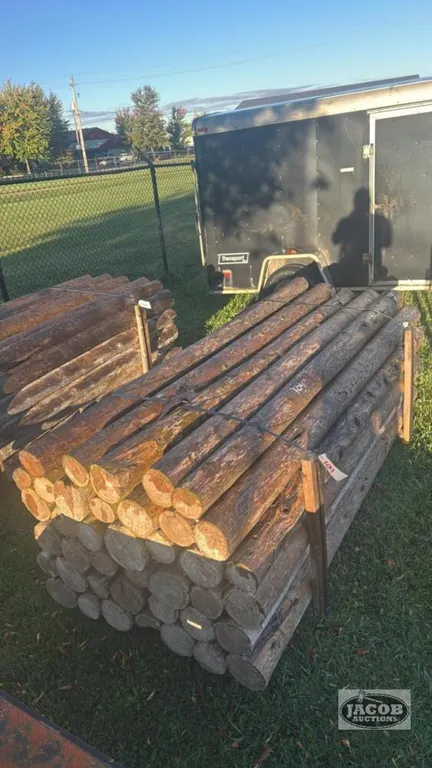 40 - 5IN X 8FT CEDAR POSTS