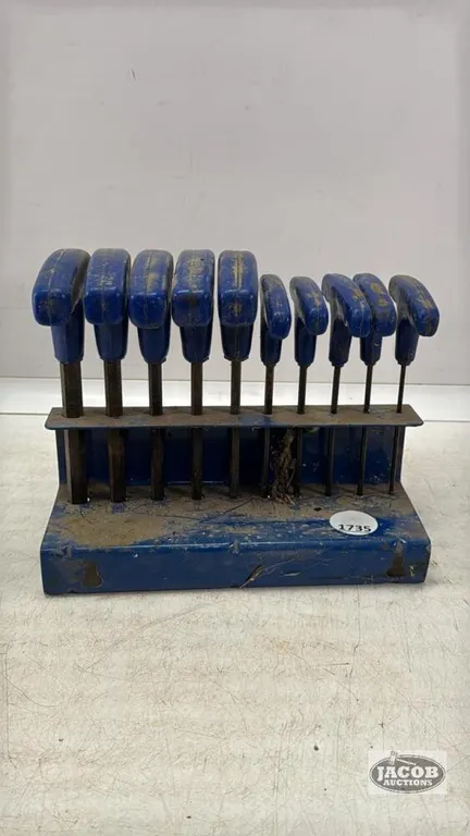 (10) PIECE SAE ALLEN KEY SET
