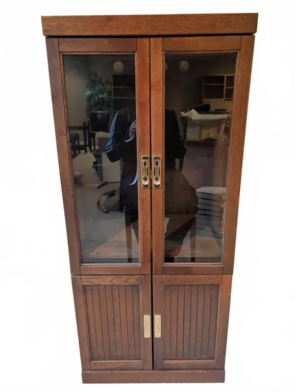 Wood and Glass Two-Door Media Storage Cabinet with Adjustable Shelves