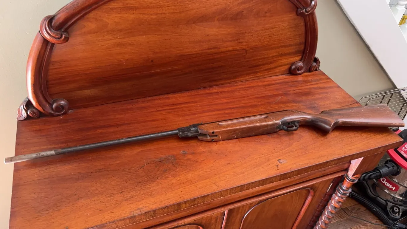 Daisy Model 25 Pump Action BB Air Rifle